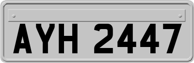 AYH2447