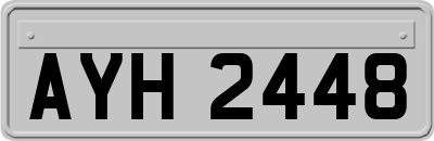AYH2448