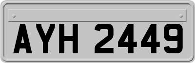 AYH2449