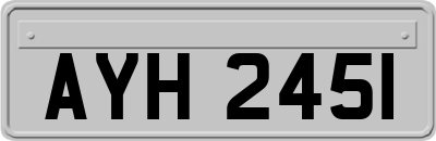 AYH2451