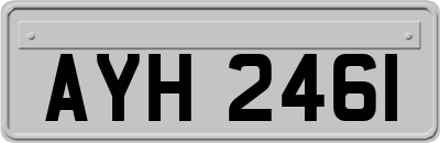 AYH2461