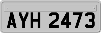 AYH2473