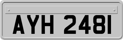 AYH2481