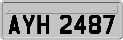 AYH2487