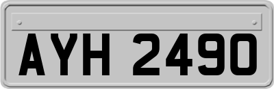 AYH2490