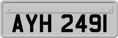 AYH2491
