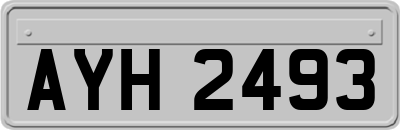 AYH2493