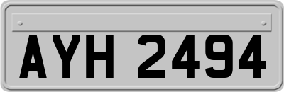 AYH2494