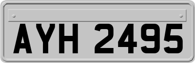 AYH2495