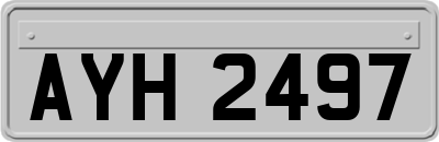 AYH2497