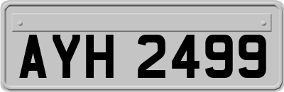 AYH2499