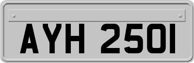 AYH2501