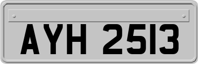 AYH2513