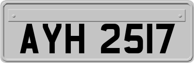 AYH2517