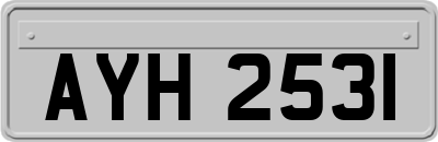 AYH2531