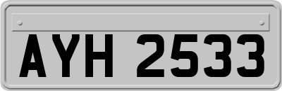AYH2533