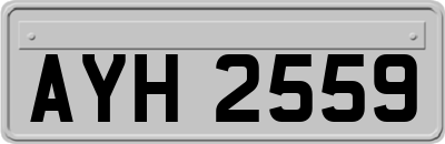 AYH2559