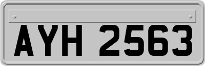 AYH2563