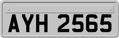 AYH2565