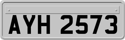 AYH2573