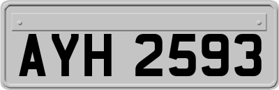 AYH2593
