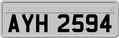 AYH2594