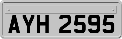 AYH2595
