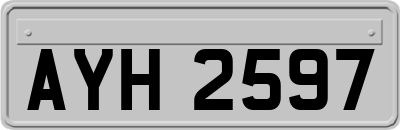 AYH2597