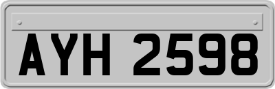 AYH2598