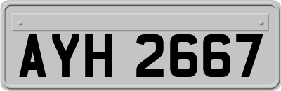 AYH2667