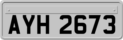AYH2673