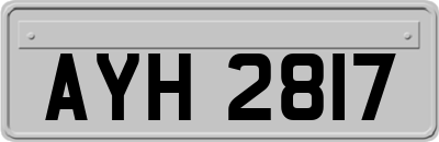 AYH2817