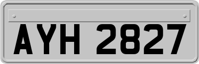 AYH2827