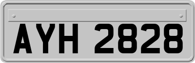AYH2828