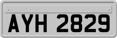 AYH2829