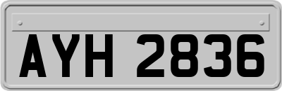 AYH2836