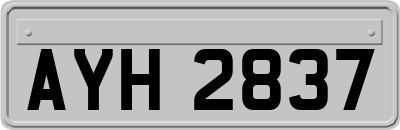 AYH2837
