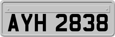 AYH2838
