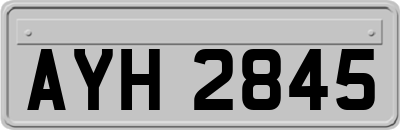 AYH2845