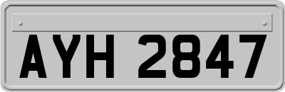 AYH2847