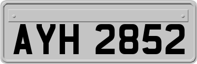 AYH2852