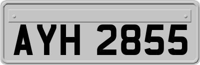 AYH2855