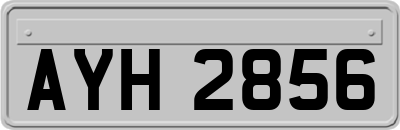 AYH2856