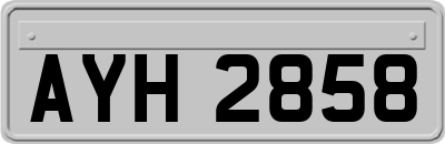 AYH2858