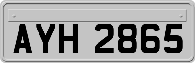 AYH2865