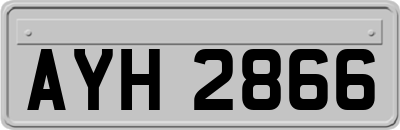 AYH2866