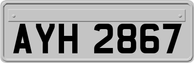 AYH2867