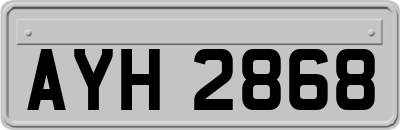 AYH2868