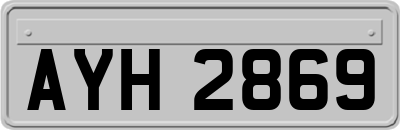 AYH2869