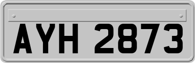 AYH2873